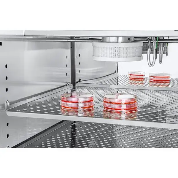 KARBONDİOKSİTLİ İNKÜBATÖR D180 MODEL NEM SENSÖRLÜ 188 LT  RWD Life Science  MARKA